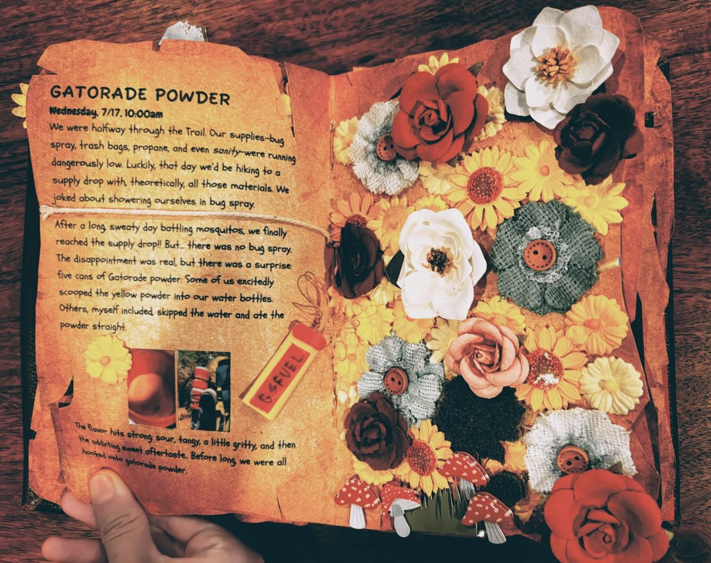 The Trail Book