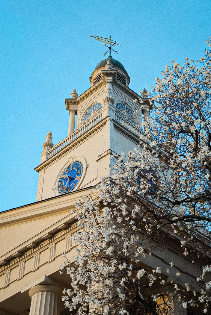 spring